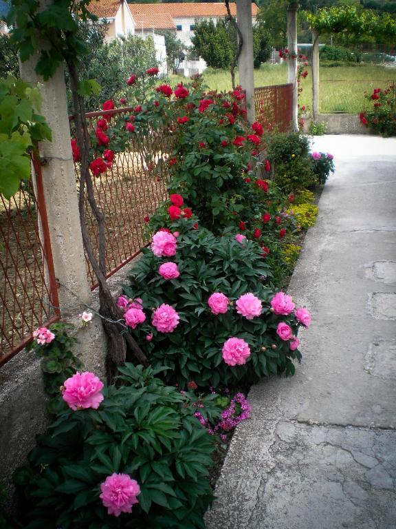 Francesca Guesthouse 米利尼 外观 照片
