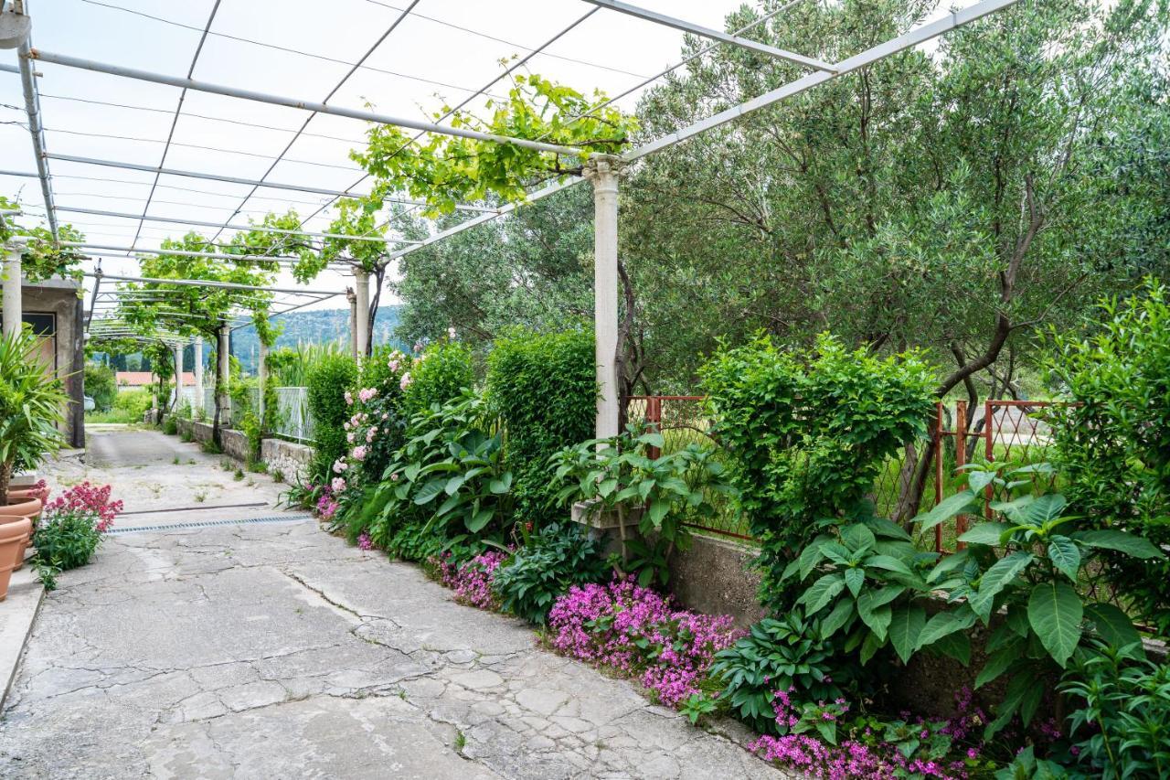 Francesca Guesthouse 米利尼 外观 照片